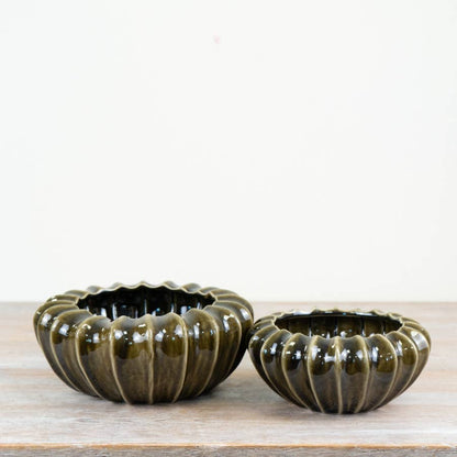 Olive Pod Vase